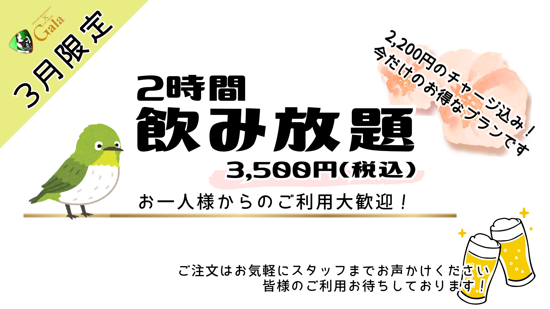 2026年3月限定！飲み放題プラン